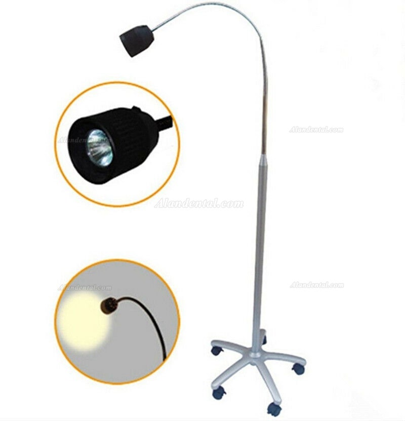 35W Dental Medical Floorstanding Exam Lamp Halogen Shadowless Examination Light