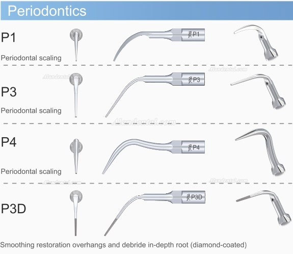 5Pcs/pack Woodpecker Dental Ultrasonic Scaler Scaling Periodontics Tips EMS Compatible P1