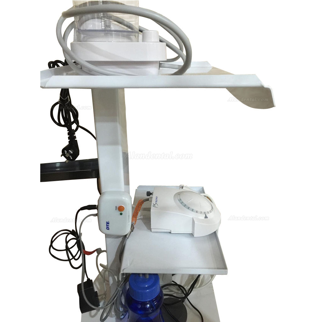 Medical Steel Cart Trolley Doctor Dentist Trolly Spa Salon Equipment All Purpose