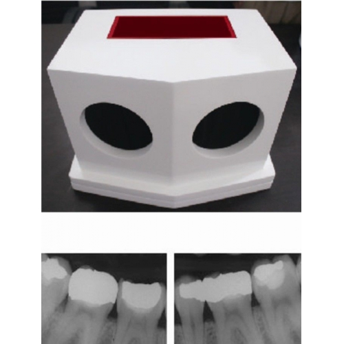 NEW Dental Lab X-Ray Film Oral Automatic Processor Developer