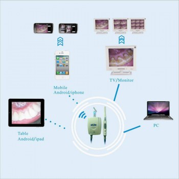 Dental Intraoral Camera M-888 Corded 1/4 SONY CCD USB/Video/VGA Output