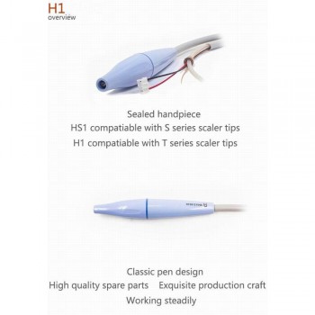 Baolai Dental C5 Built-in Ultrasonic Scaler With H1 Sealed Handpiece & 4* tips
