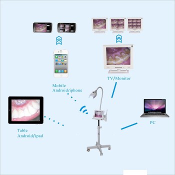 MLG® 8 inch LCD Monitor Teeth Whitening + Intraoral Camera M-86 Trolley-type With SD Card