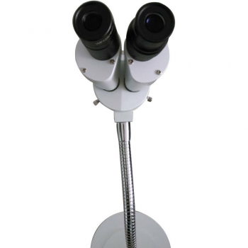 Micare 8X Microscope Comprehensive Magnification 360° Revolve Dental Lab Equipment LED