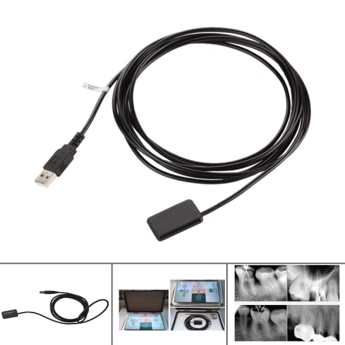Buy Cheap Best Dental Digital Sensor Trident X Ray Imaging Diagnostic
