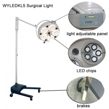 Dental Medical Surgery light LED Shadowless Operating Lamp WYLEDKL5