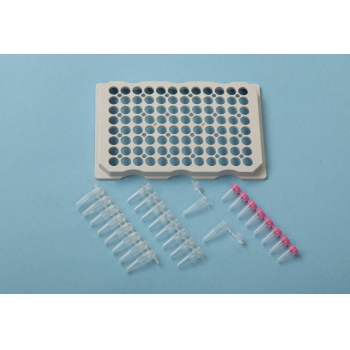 Mini Centrifuge PCR Plate Horizontal Centrifuge Speed 2200rpm Force 480g MPC-P25