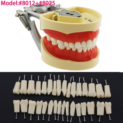 nissin model kit