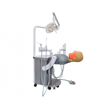 Dental Simulator Unit Working Station Manikin Phantom Heads Teaching Dentist