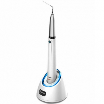 Woodpecker DTE Endo 1 Ergonomic Endoactivator Dental Ultrasonic Activator