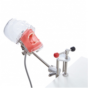 Jingle C6-1 Dental Training Practice Phantom Manikin Head Compatible with Nissin...