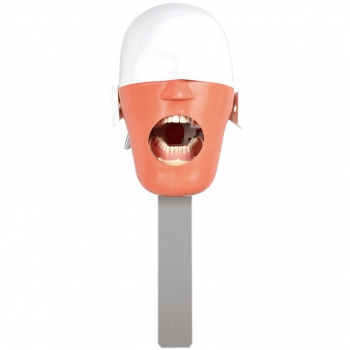 Jingle C3 Dental Surgery Practice Phantom Head (Attach on Dental Chair Type)