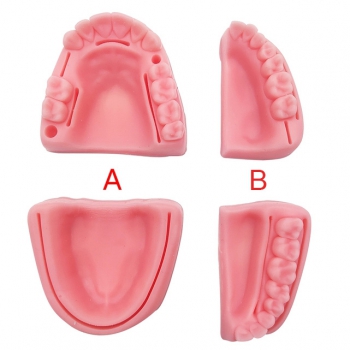 Dental Silica Gel Oral Suture Training Teaching Module