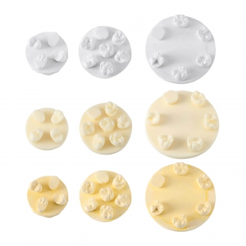 3Pcs/Bag Dental Tooth Morphology Practice Model U6/L6/U4 Positions Training Kit (Gypsum/Resin)