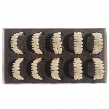 CAIYU Dental Resin Dentures (Flexible Bilateral Symmetrical) A1/A2/A3/A3.5/A4