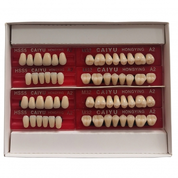 Caiyu Hongying Dental Resin Dentures (Three-layer color) A1/A2/A3/A3.5/A4