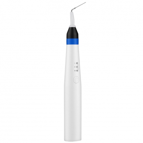 Dental Endo Obturation System Pen Rapid Heating Gutta Percha Cutter with 2 Tips