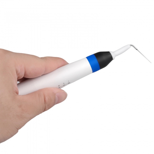 Dental Endo Obturation System Pen Rapid Heating Gutta Percha Cutter with 2 Tips