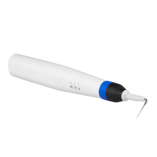 Dental Endo Obturation System Pen Rapid Heating Gutta Percha Cutter with 2 Tips