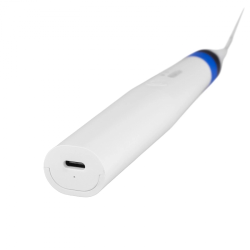 Dental Endo Obturation System Pen Rapid Heating Gutta Percha Cutter with 2 Tips