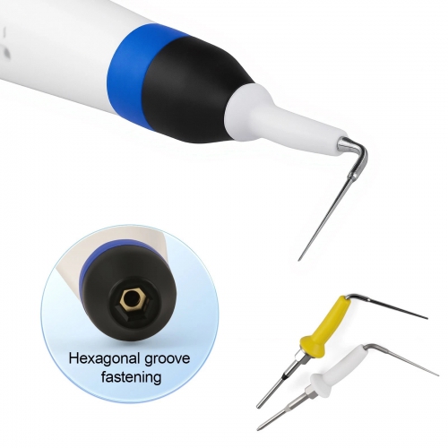 Dental Endo Obturation System Pen Rapid Heating Gutta Percha Cutter with 2 Tips