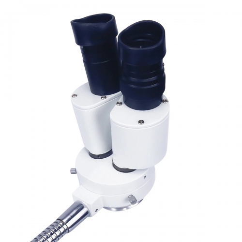 HAYEAR 10X Magnification Dental Lab Binocular Microscope without LED Lampe