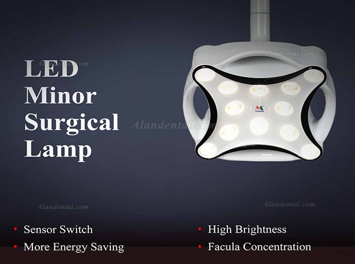 Micare JD1700 LED Minor Surgical Lamp Shadowless Light Operation Lamp For Dental Clinic