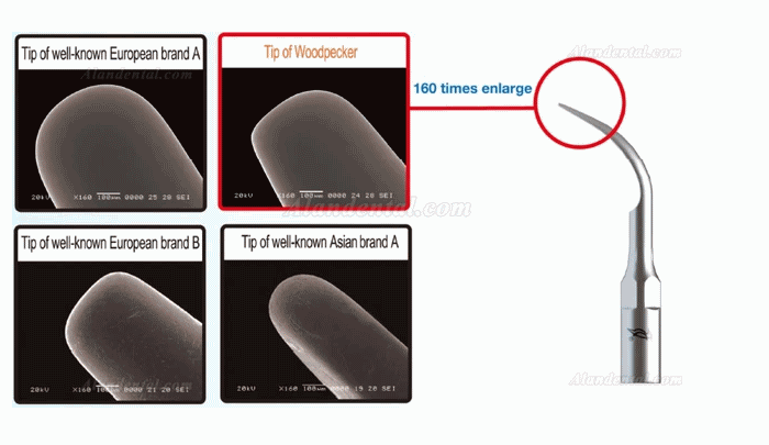 10Pcs Woodpecker EMS Cavitron Ultrasonic Scaler Endodontic Tip E1 E2 E3 E3D E4 E4D E5 E5D E8 E9 E10D E11 E11D E14