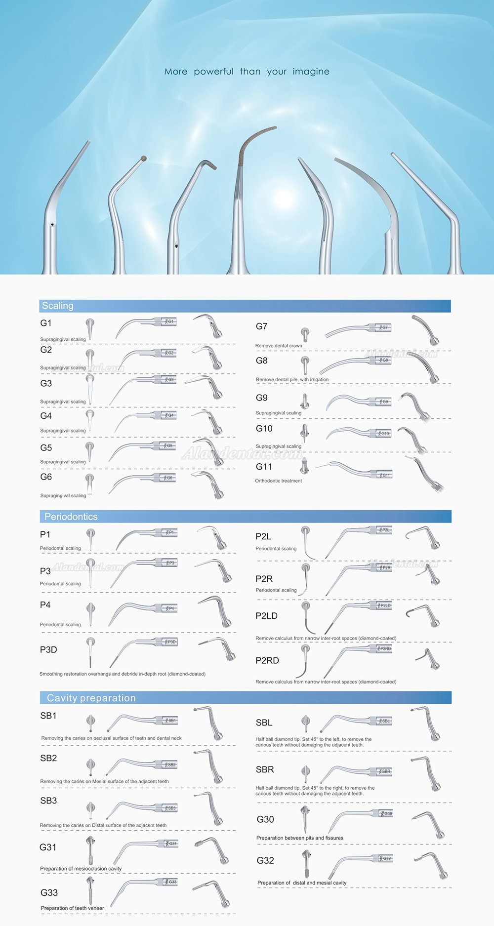 10Pcs Woodpecker EMS Cavitron Ultrasonic Scaler Endodontic Tip E1 E2 E3 E3D E4 E4D E5 E5D E8 E9 E10D E11 E11D E14