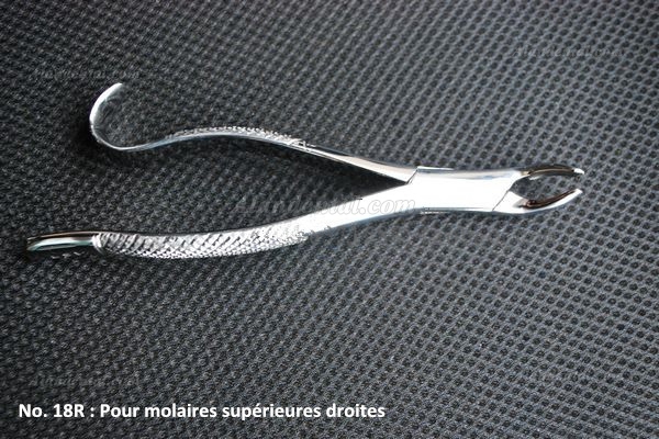 Dental Forceps Set of 6