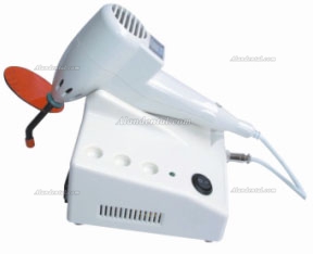 LY® Dentist Curing Light Halogen Base Lamp