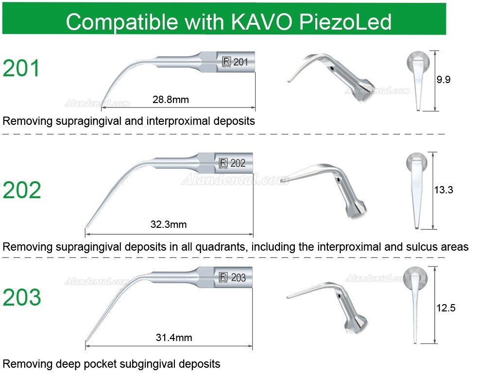 5Pcs Refine® Ultrasonic Scaling Tips 201 202 203 Compatible with KAVO PiezoLed Ultrasonic Scaler Handpiece