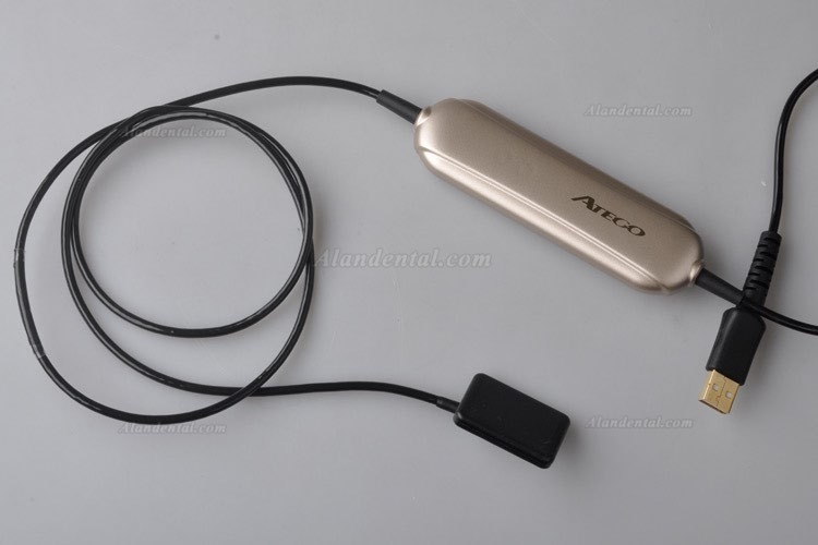 High Resolution Digital USB Type Dental X Ray Sensor Rvg