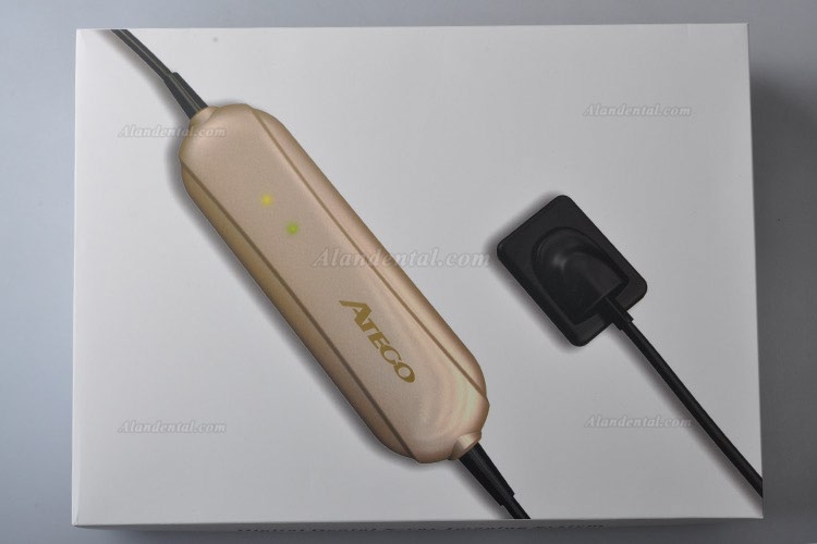 High Resolution Digital USB Type Dental X Ray Sensor Rvg