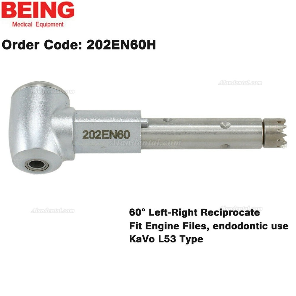 BEING Dental Contra Angle Head For Prophy Endodontic Handpiece KaVo L67 L80 L31