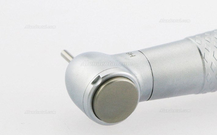 YUSENDENT® CX207-GW-SP Dental Standard Head Handpiece Compatible W&H (NO Quick Coupler)