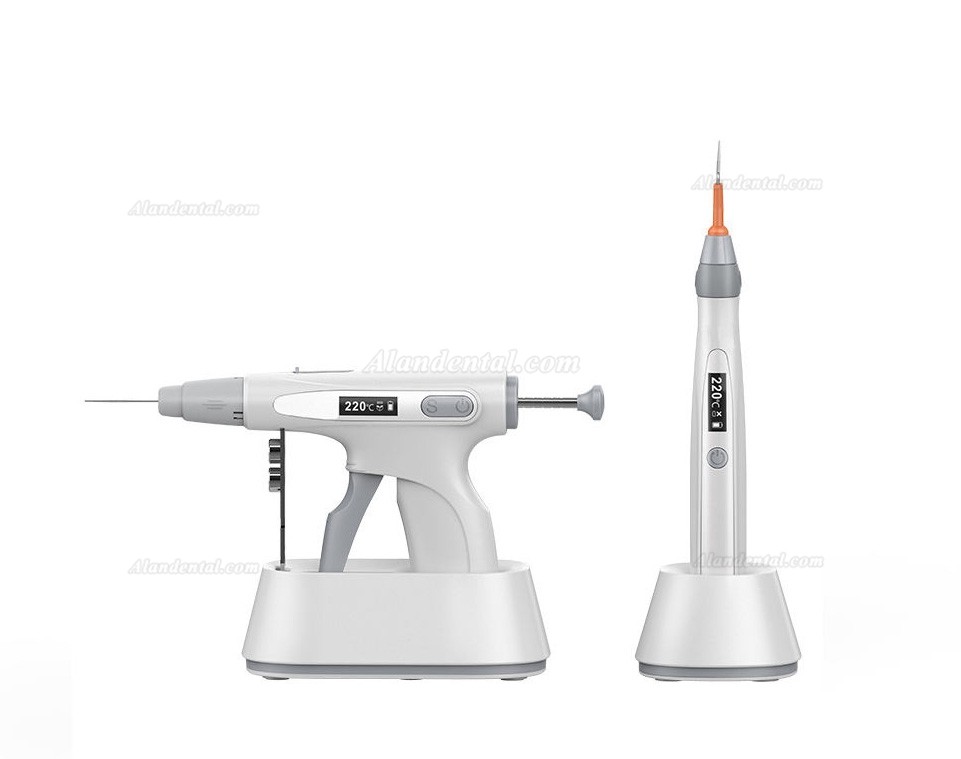 BEYOND Denwell-4 Gutta Percha Endodontic Obturation System (D-Pack Heating Pen + D-Fill Filling Gun)