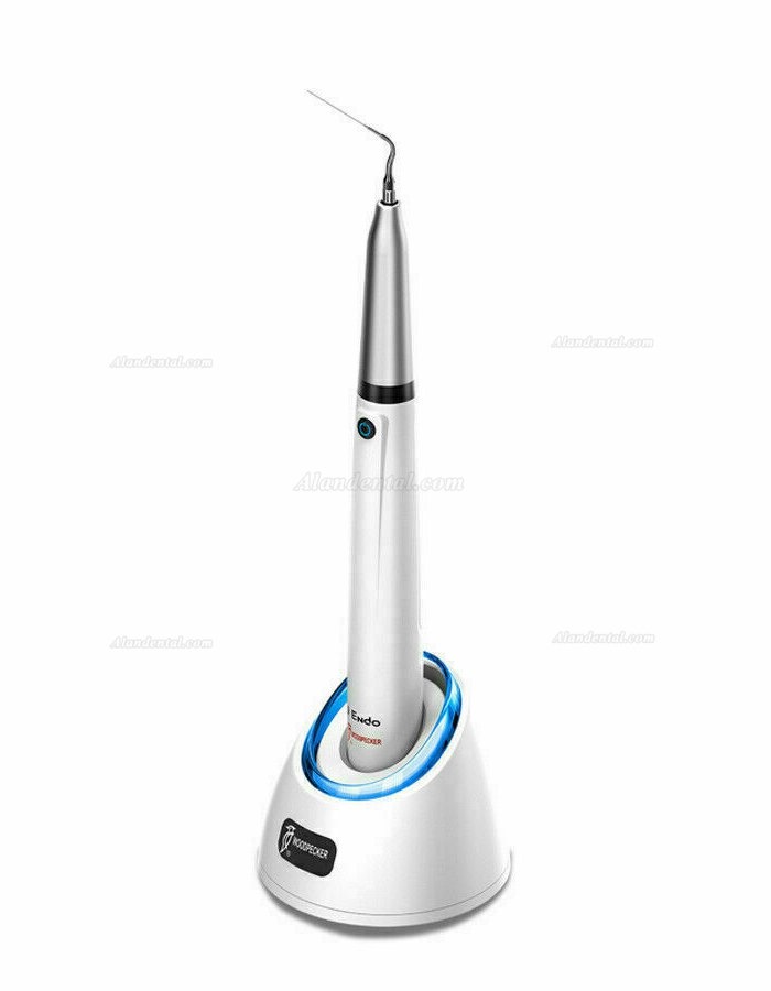 Woodpecker DTE Endo 1 Ergonomic Endoactivator Dental Ultrasonic Activator