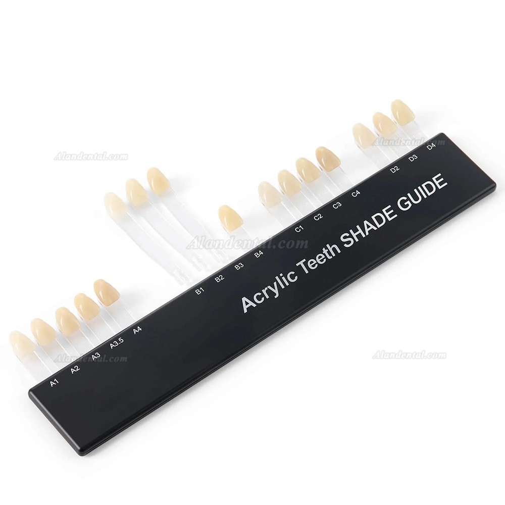 Buy Cheap Dental Acrylic Teeth Shade Guide Bleached Teeth Guide 2-Layer ...