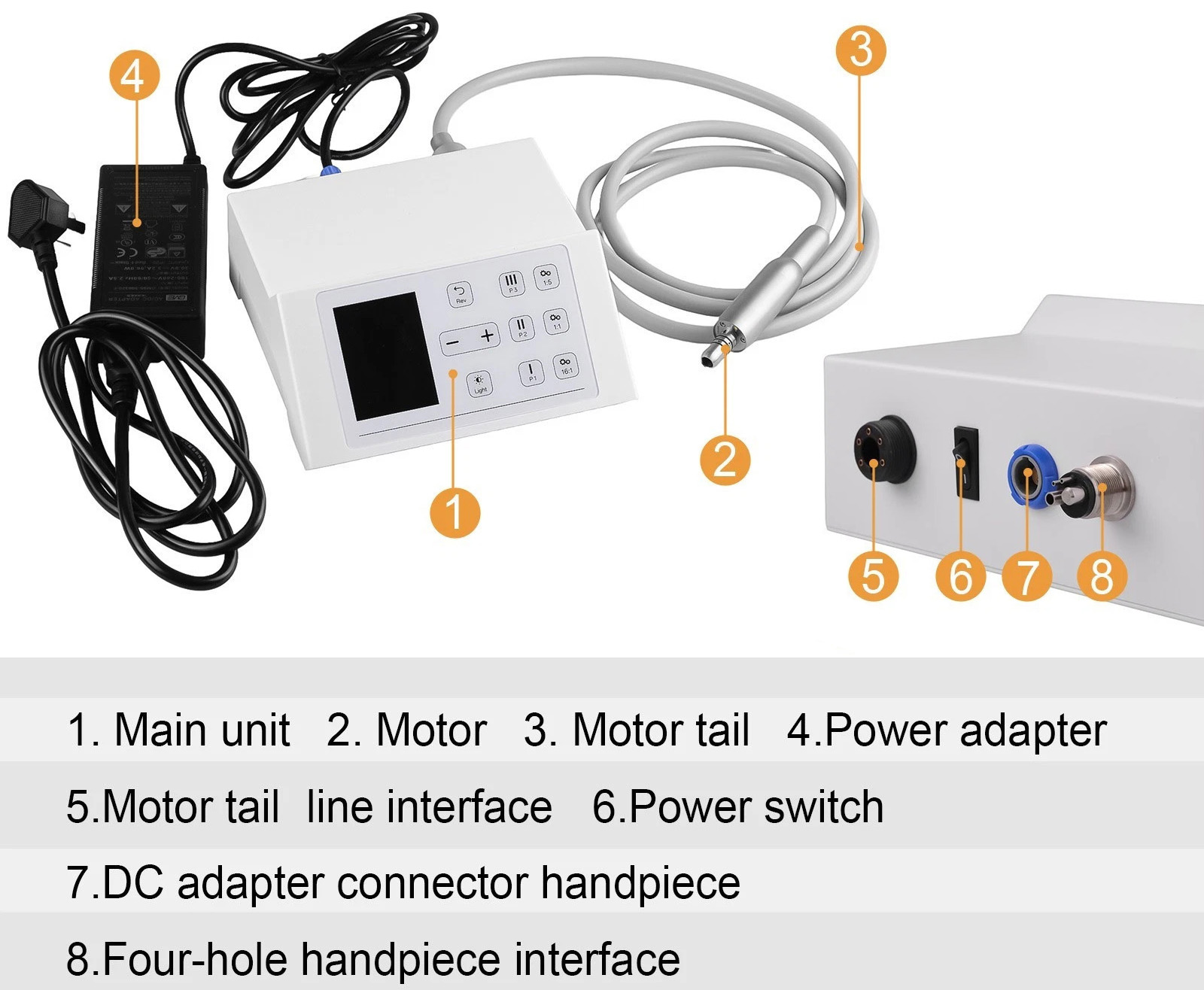 Dental LED Brushless Electric Micromotor 2000-40000rpm 4Hole