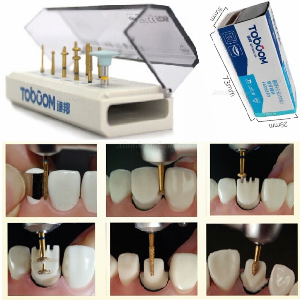 10PCS/Kit Dental Porcelain Anterior Teeth for Ceramics Zirconia Crowns FG 0610 D