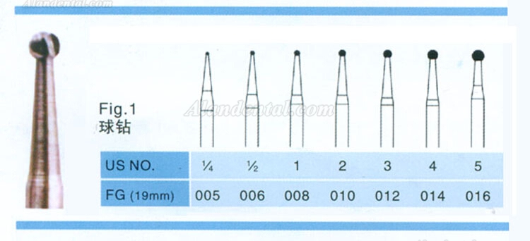 20PCS FG012 1.6mm Carbide Burs