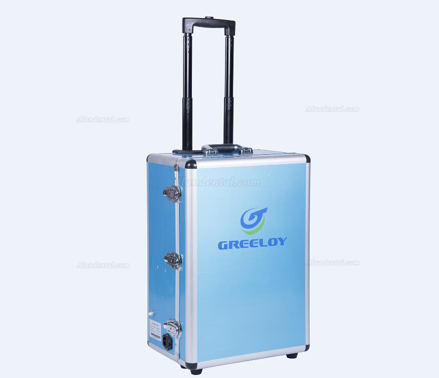 GREELOYP®204 Dental Portable Unit & Air Compressor Fiber Optic Handpiece Pipes 4 Holes