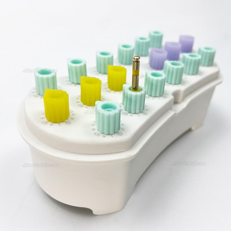 Dental Endo Root Canal Files Holder Disinfection Box Sterilized Case With Count Counting