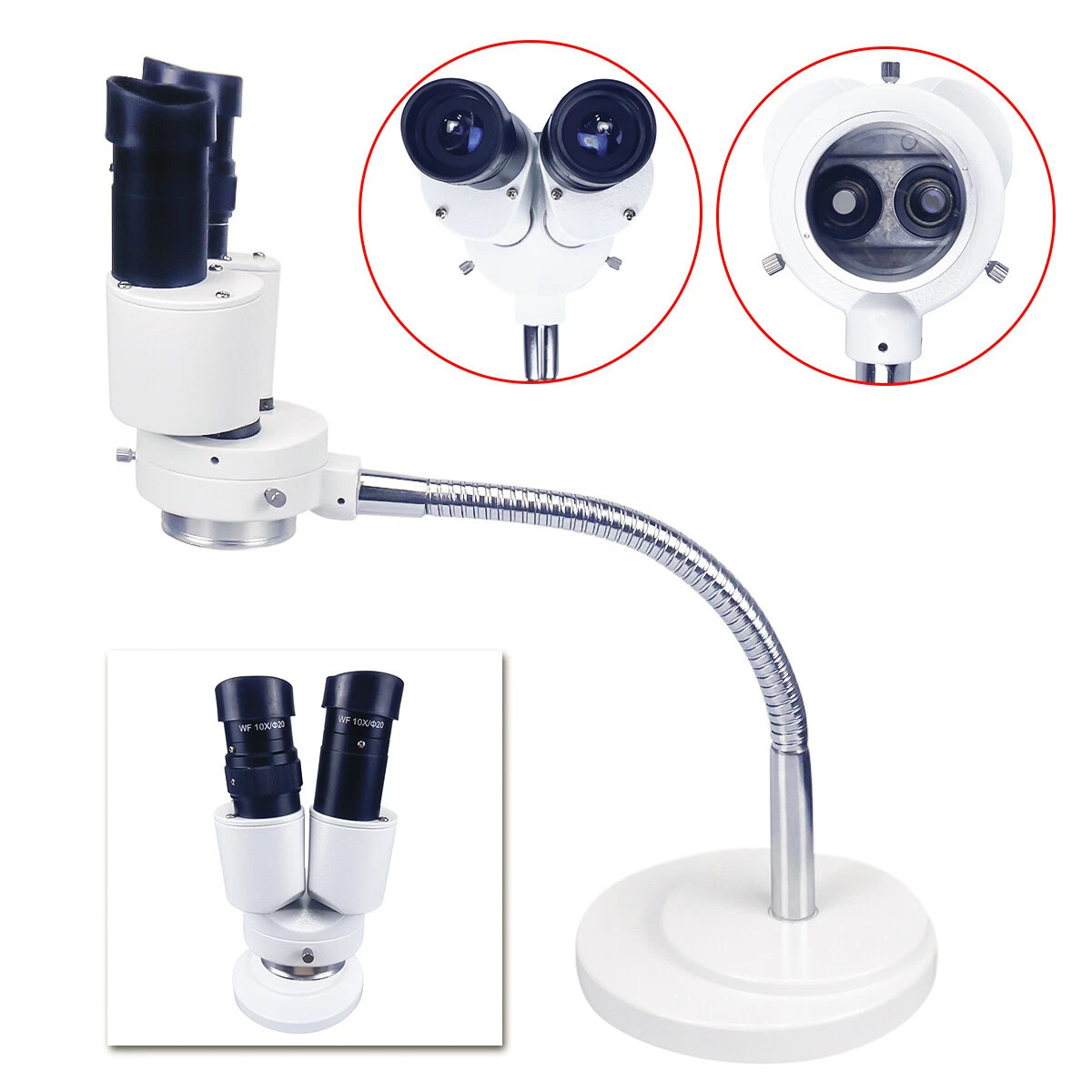 HAYEAR 10X Magnification Dental Lab Binocular Microscope without LED Lampe