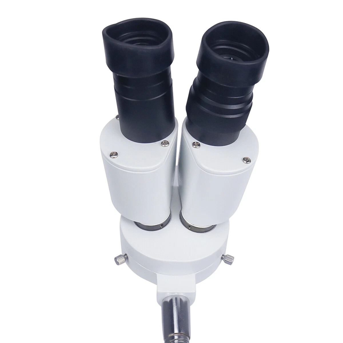 HAYEAR 10X Magnification Dental Lab Binocular Microscope without LED Lampe