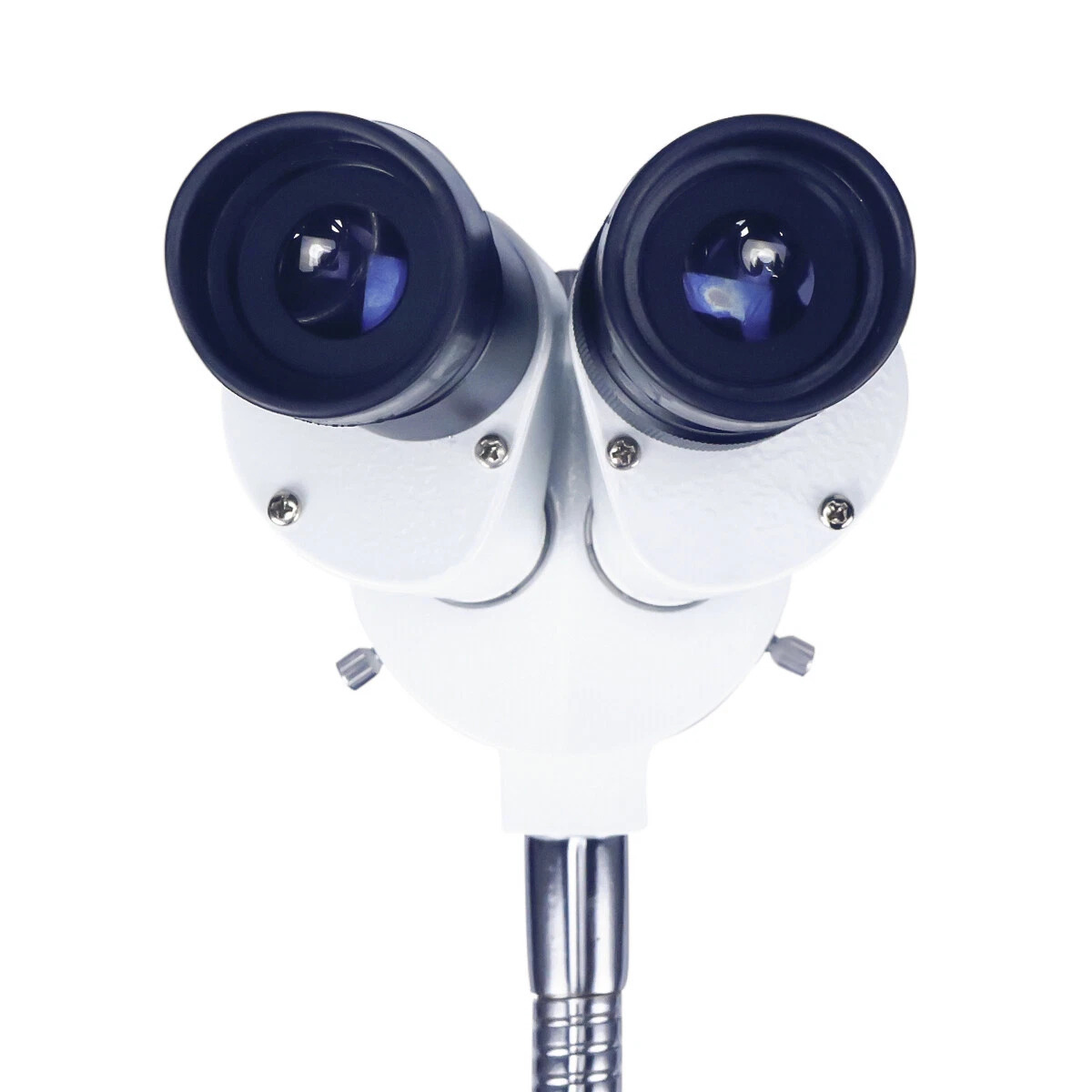HAYEAR 10X Magnification Dental Lab Binocular Microscope without LED Lampe