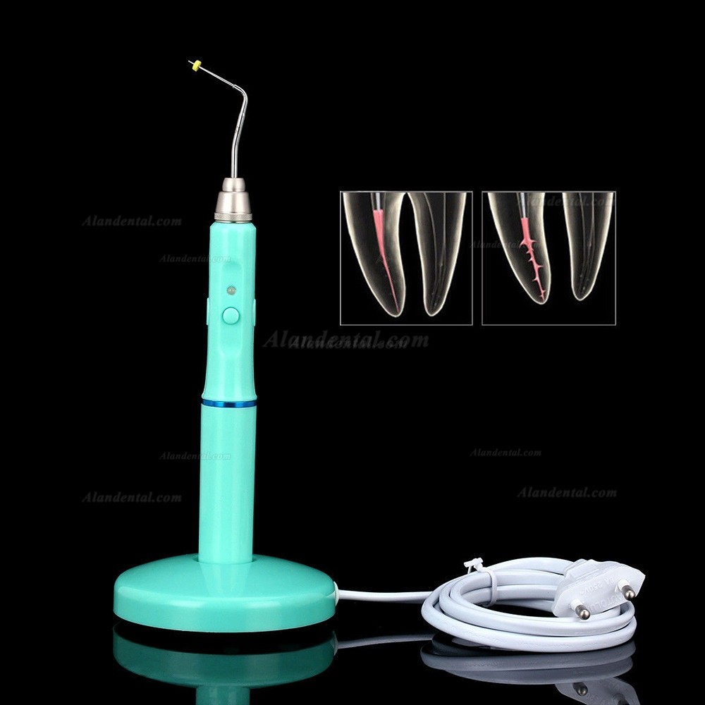 Dental Cordless Wireless Gutta Percha Obturation System Endo Heated Pen + 2 Tips