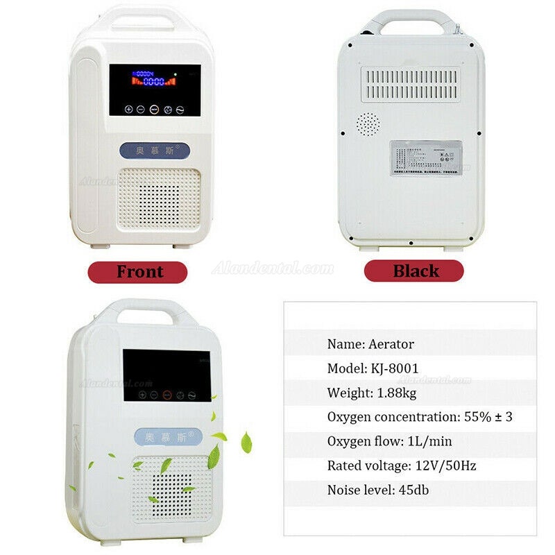 Portable Intelligent Home Car Oxygen-Concentrator Generator 1L/min Machine