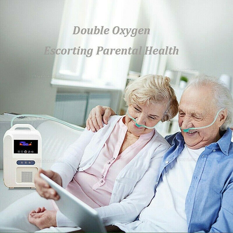 Portable Intelligent Home Car Oxygen-Concentrator Generator 1L/min Machine